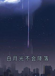 白月光不会降落